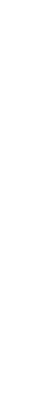 河豚-ふぐ-