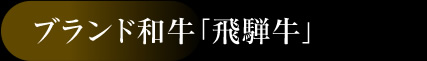 ブランド和牛「飛騨牛」