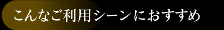 こんなご利用シーンにおすすめ